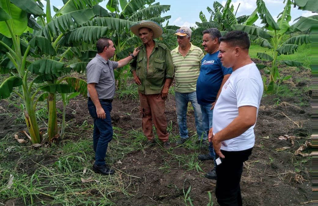 «El SNTC, visita la finca de autoconsumo perteneciente a la empresa de Construcción y Montaje de Granma». 0 (0)