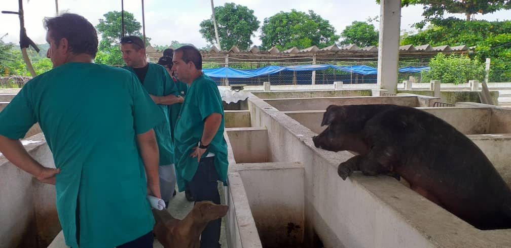 «Dirigentes del SNTC y el MICONS visitaron la Brigada de Porcinos de la ECMSS». 0 (0)